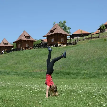 Eko Selo * Koštunići